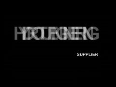 Kaplan-Wasserturbine 100–1000 kW Wasserturbine mit Edelstahl-Laufschaufeln